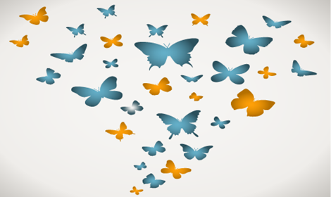 images/news/2016/butterfly_cure_palliative_conv.png