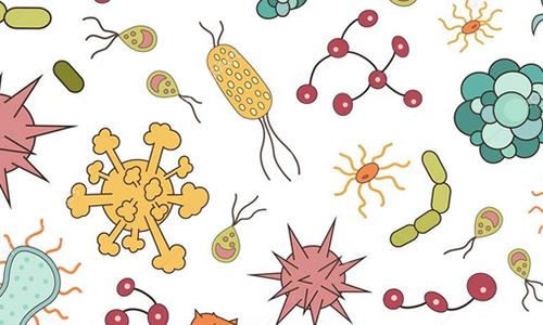 images/news/2020/infezioni_rsa_toscana_italia_europa_antimicrobicoresistenza.png