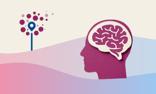 Demenze e disturbo cognitivo: al via il percorso formativo ISS per implementare la linea guida su diagnosi e trattamento